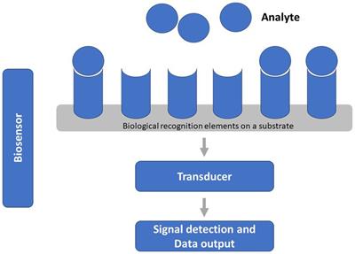 Updates on developing and applying biosensors for the detection of microorganisms, antimicrobial resistance genes and antibiotics: a scoping review